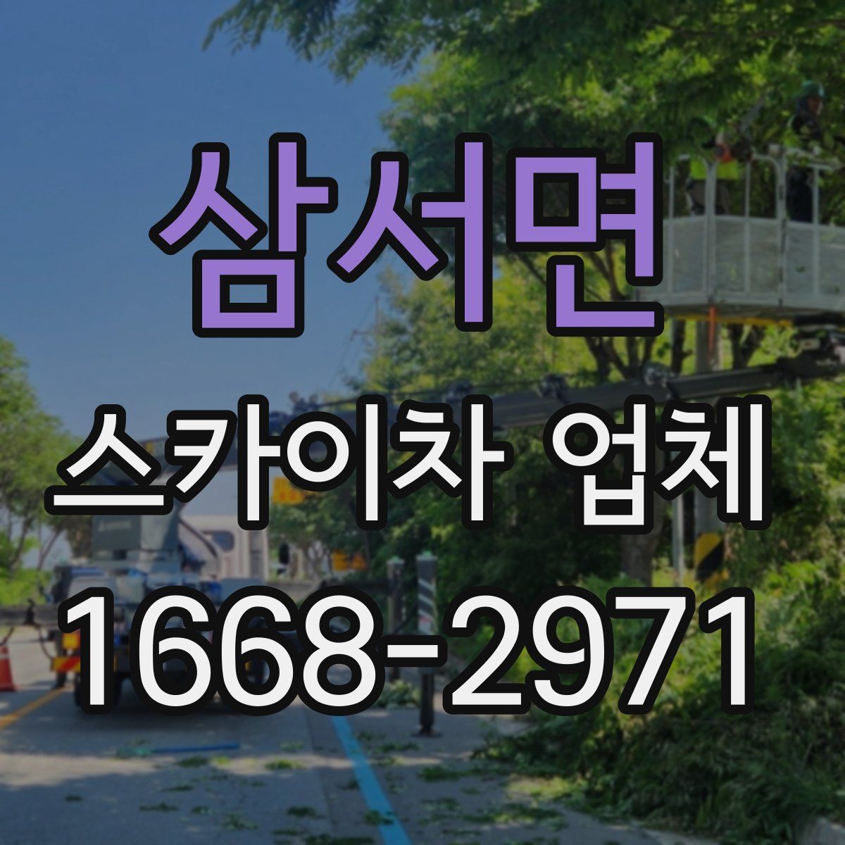 삼서면 스카이차 업체