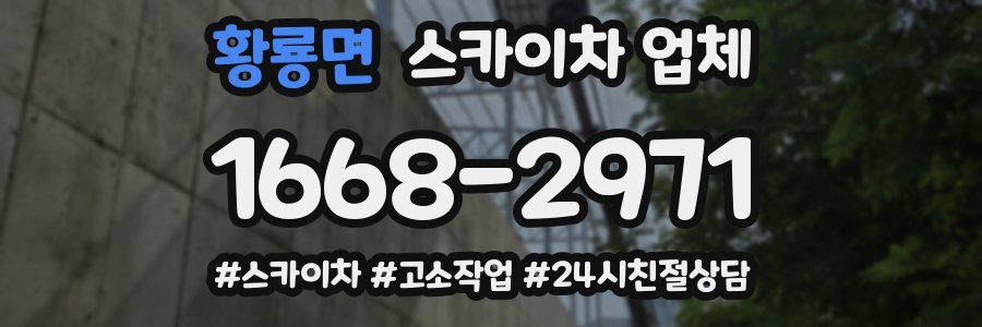 황룡면 스카이차 업체