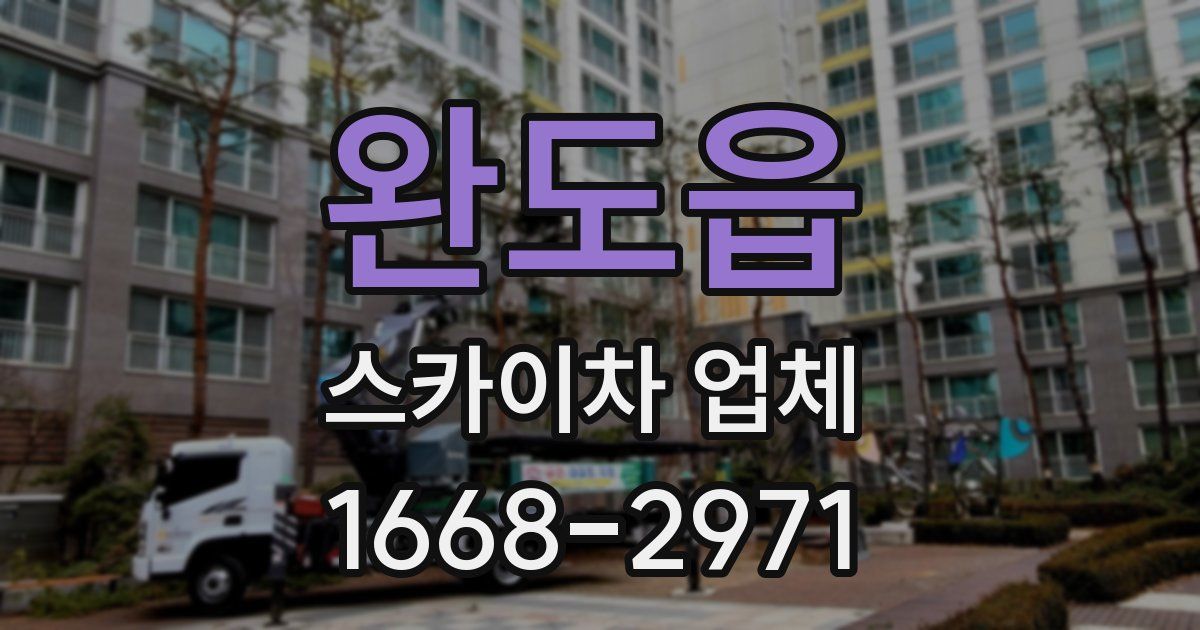완도읍 스카이차 업체