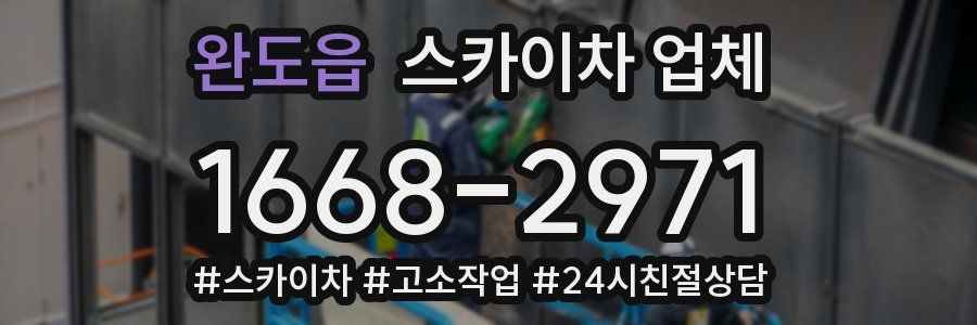 완도읍 스카이차 업체