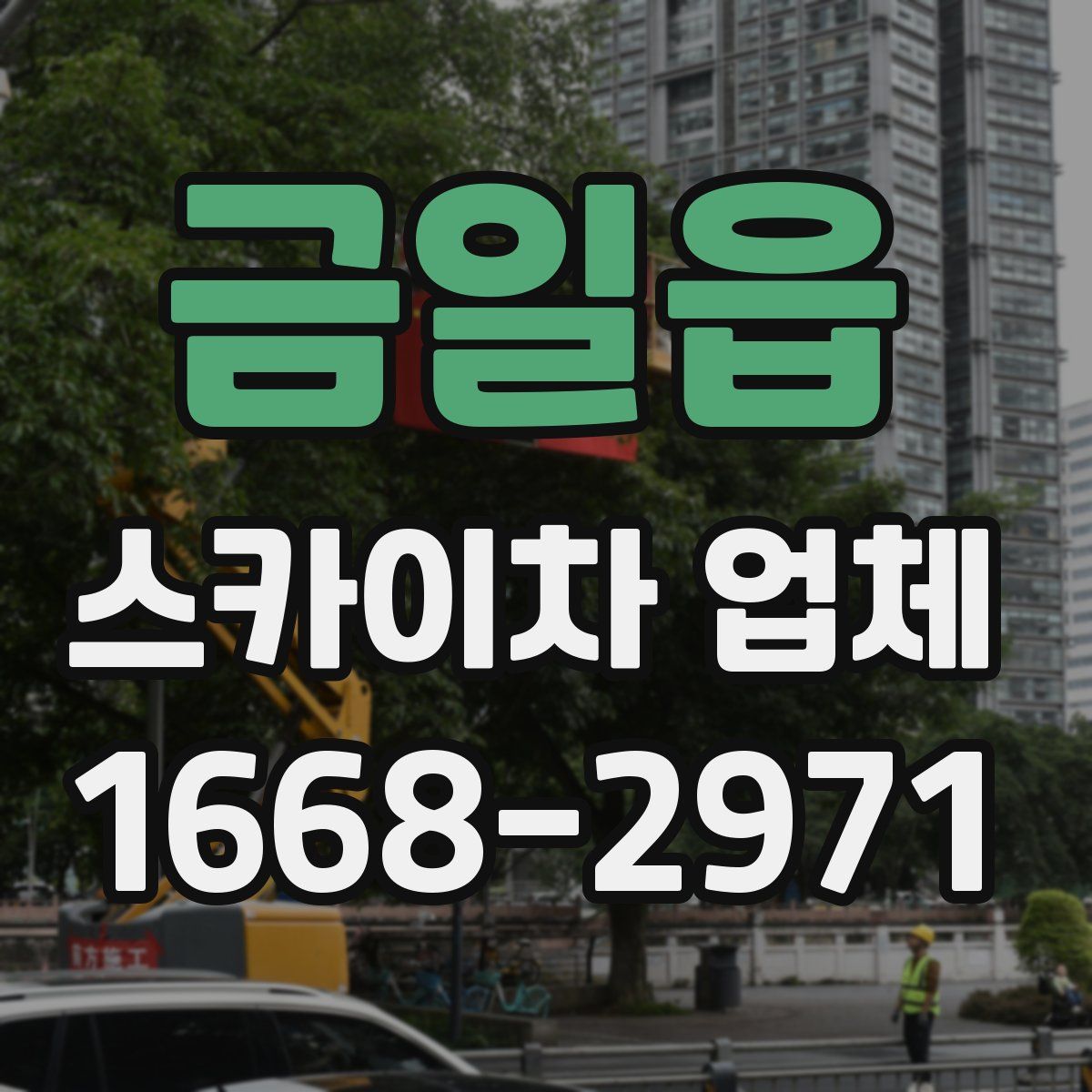 금일읍 스카이차 업체