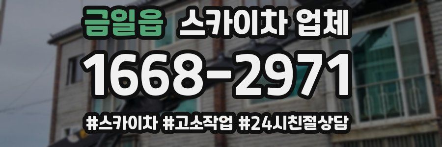 금일읍 스카이차 업체
