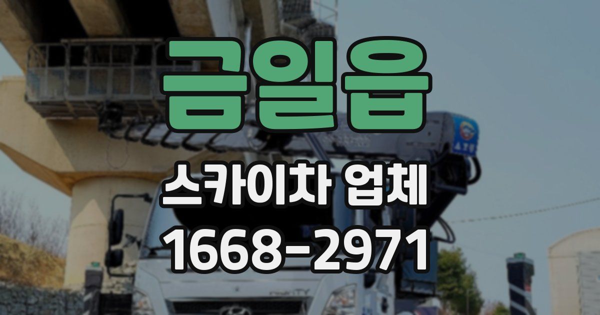 금일읍 스카이차 업체