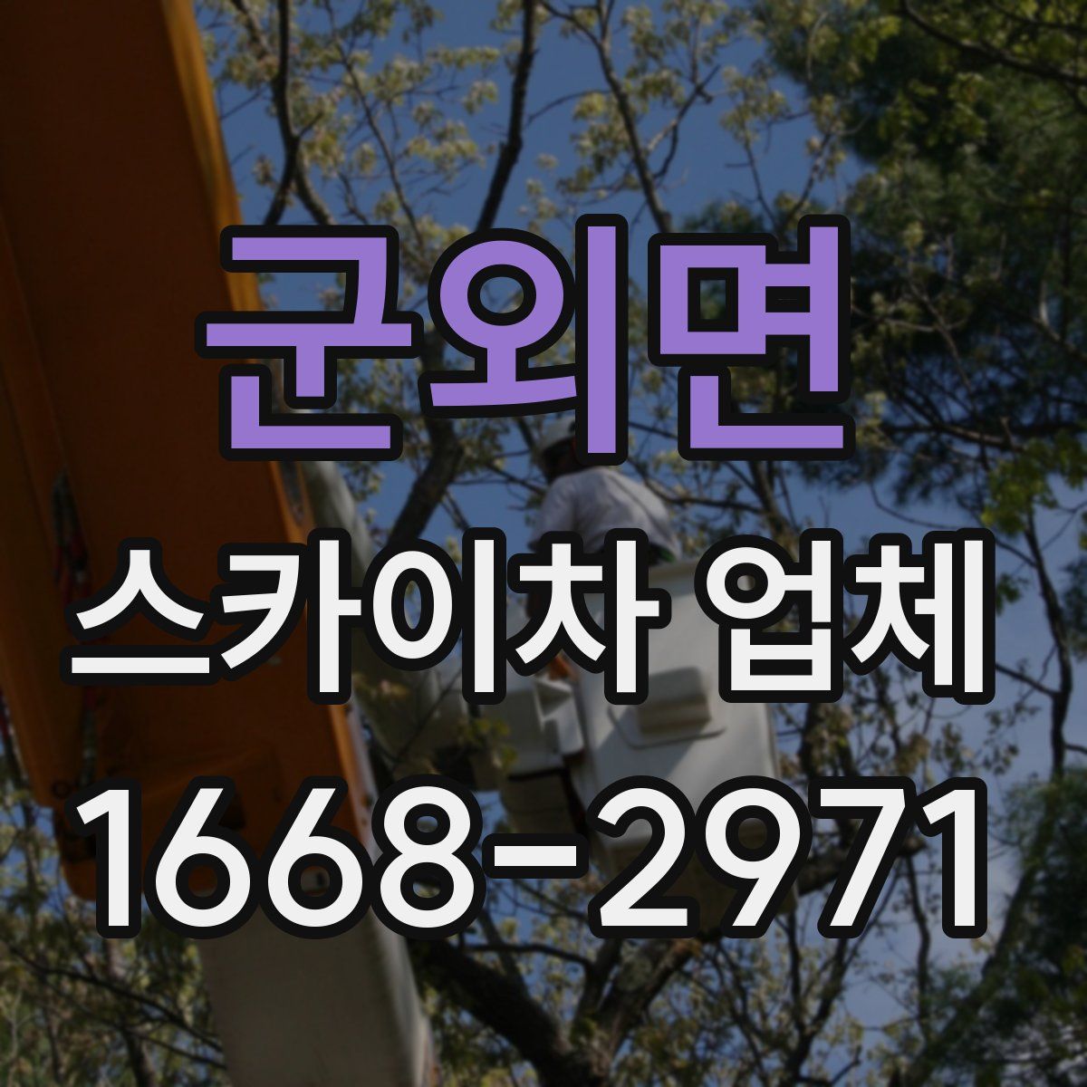 군외면 스카이차 업체