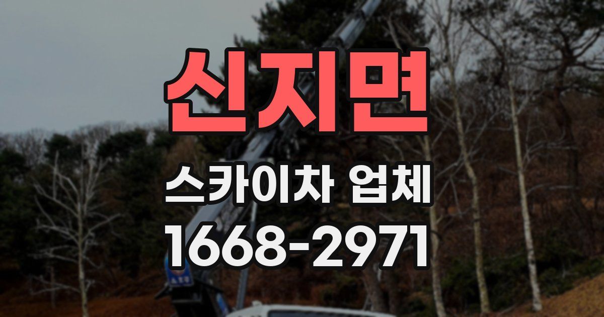 신지면 스카이차 업체