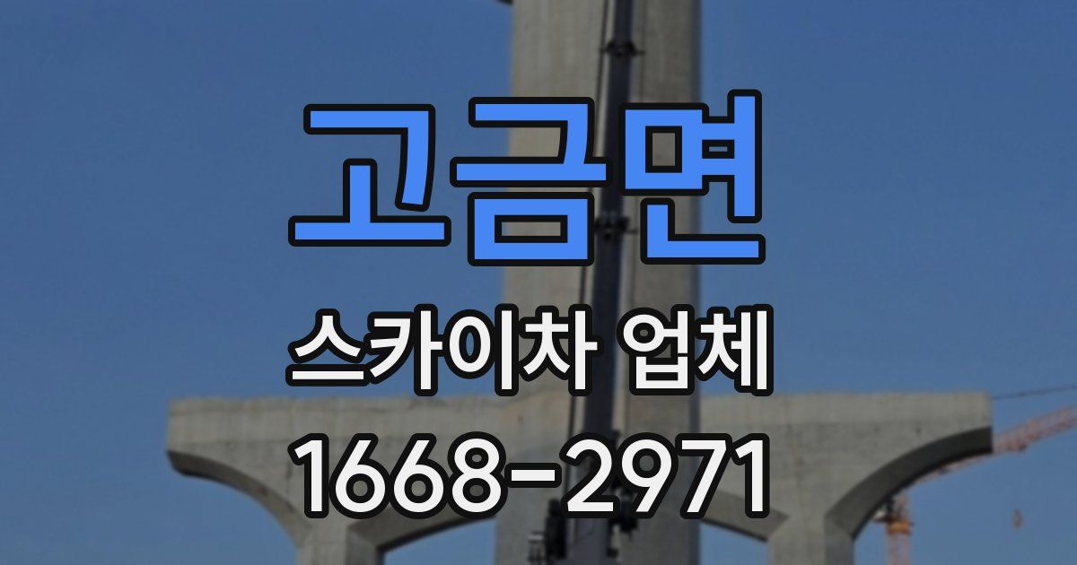 고금면 스카이차 업체