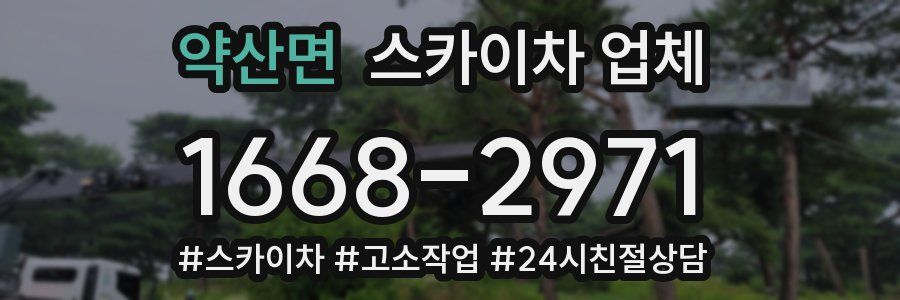 약산면 스카이차 업체