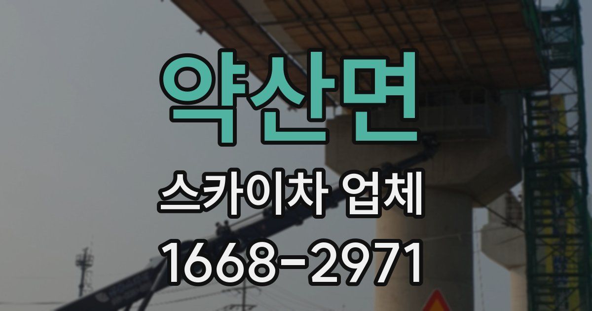 약산면 스카이차 업체