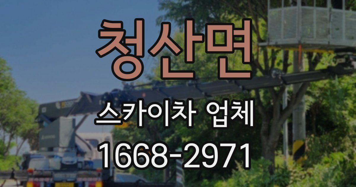 청산면 스카이차 업체