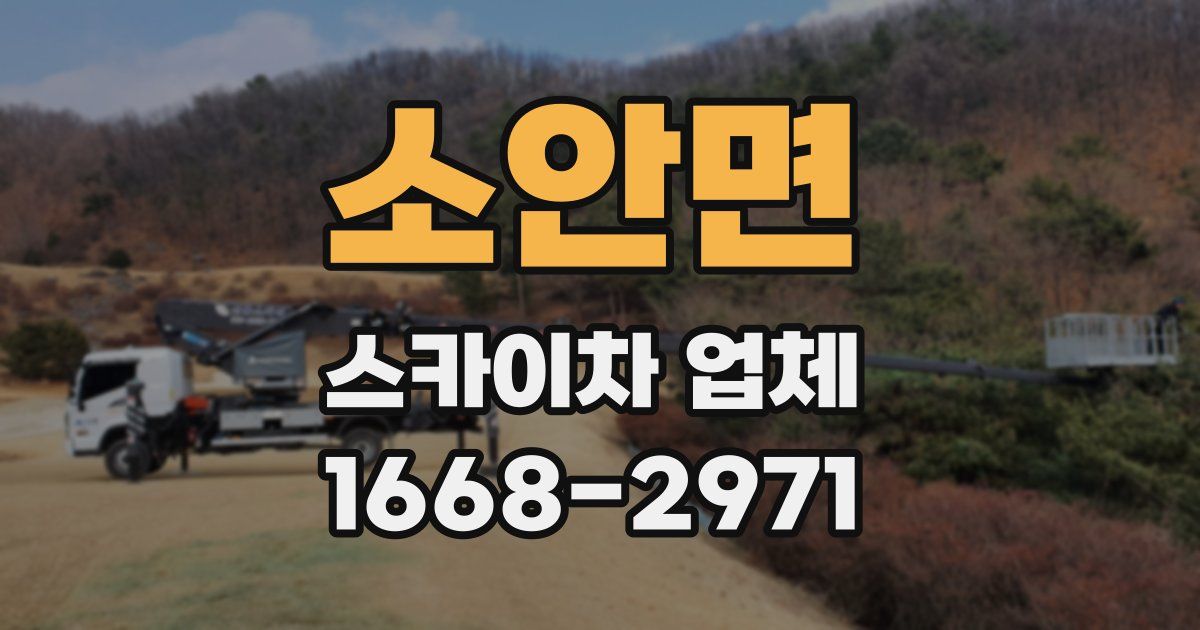 소안면 스카이차 업체