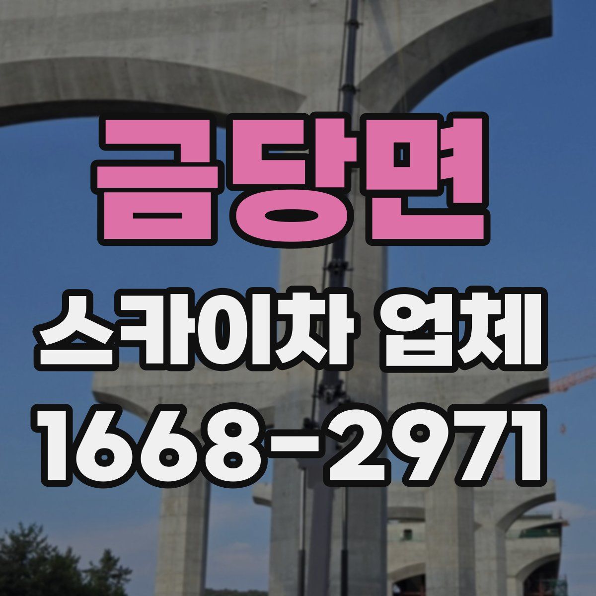 금당면 스카이차 업체