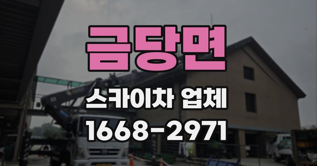 금당면 스카이차 업체
