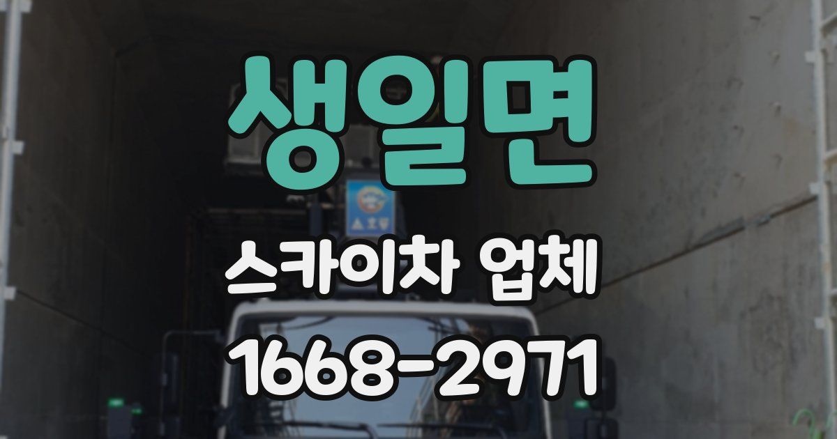 생일면 스카이차 업체