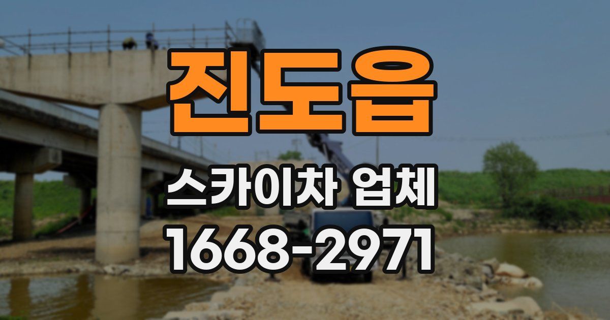 진도읍 스카이차 업체
