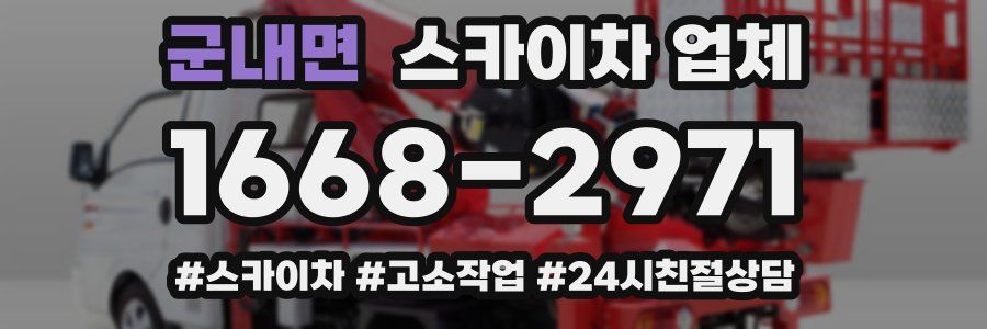 군내면 스카이차 업체
