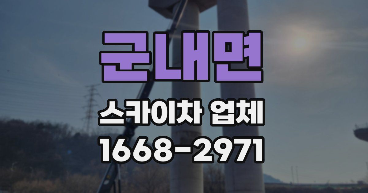 군내면 스카이차 업체