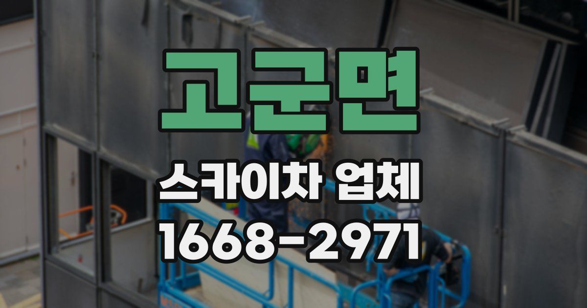 고군면 스카이차 업체