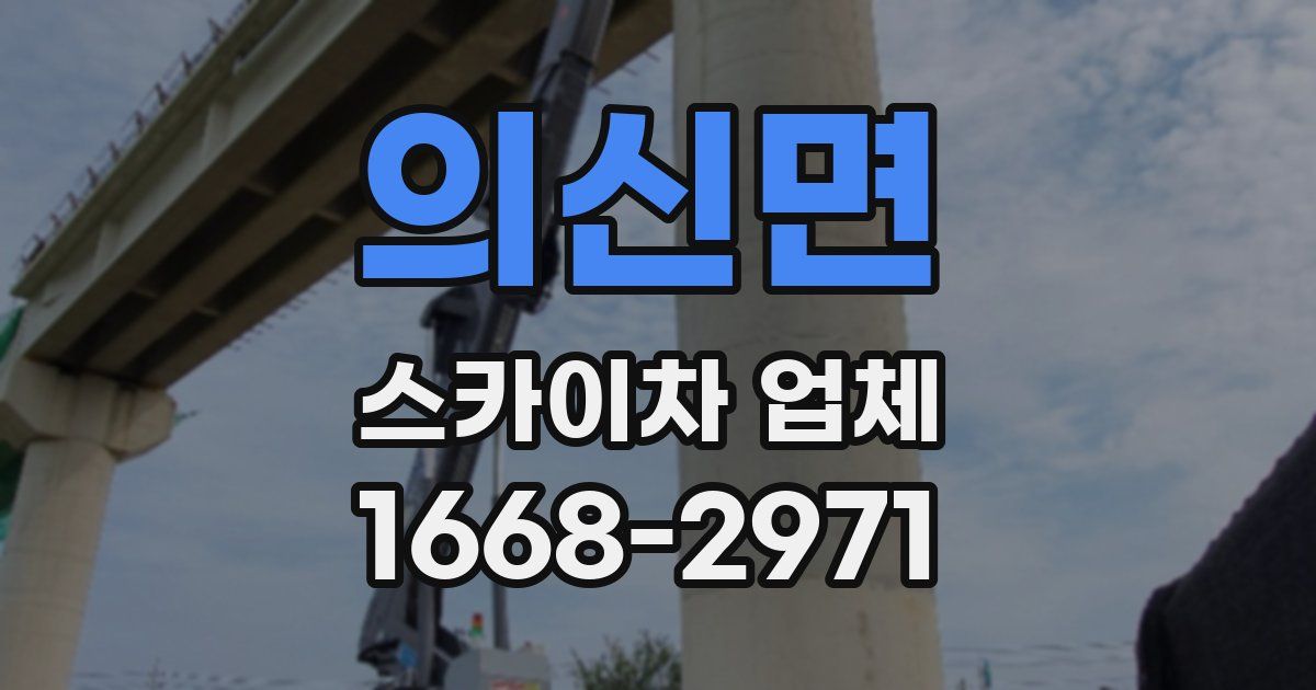 의신면 스카이차 업체