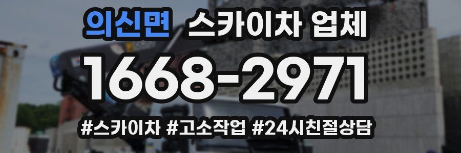 의신면 스카이차 업체