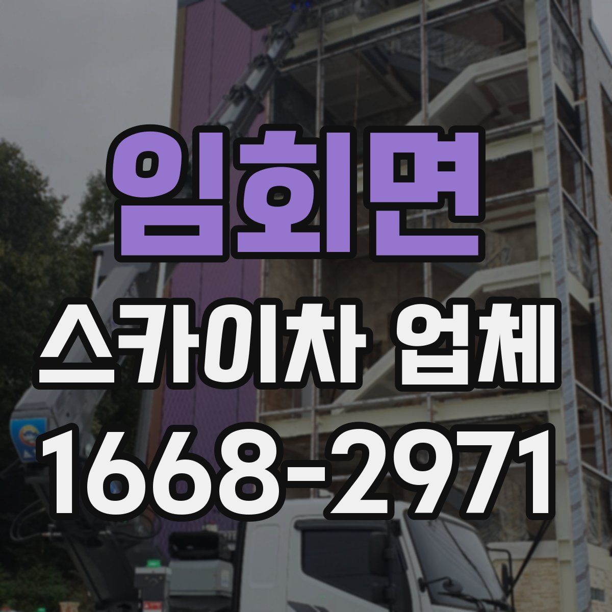 임회면 스카이차 업체