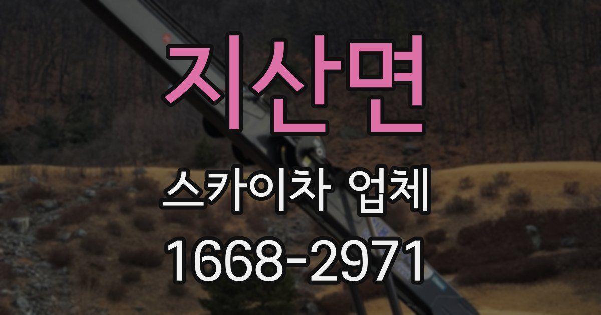 지산면 스카이차 업체