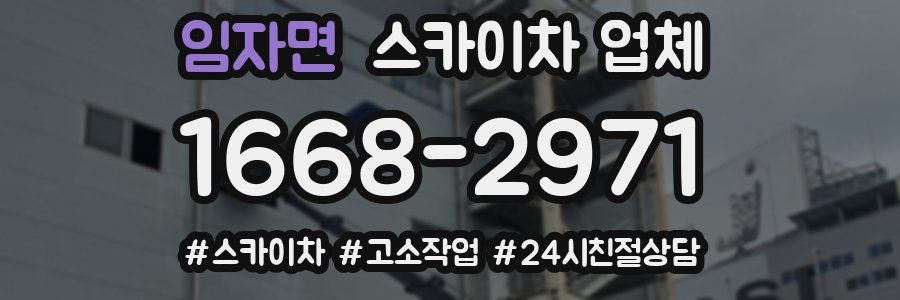 임자면 스카이차 업체