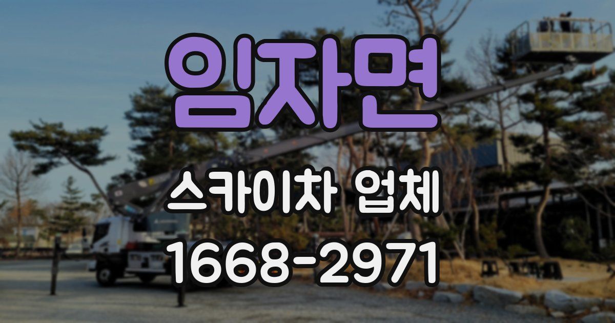 임자면 스카이차 업체