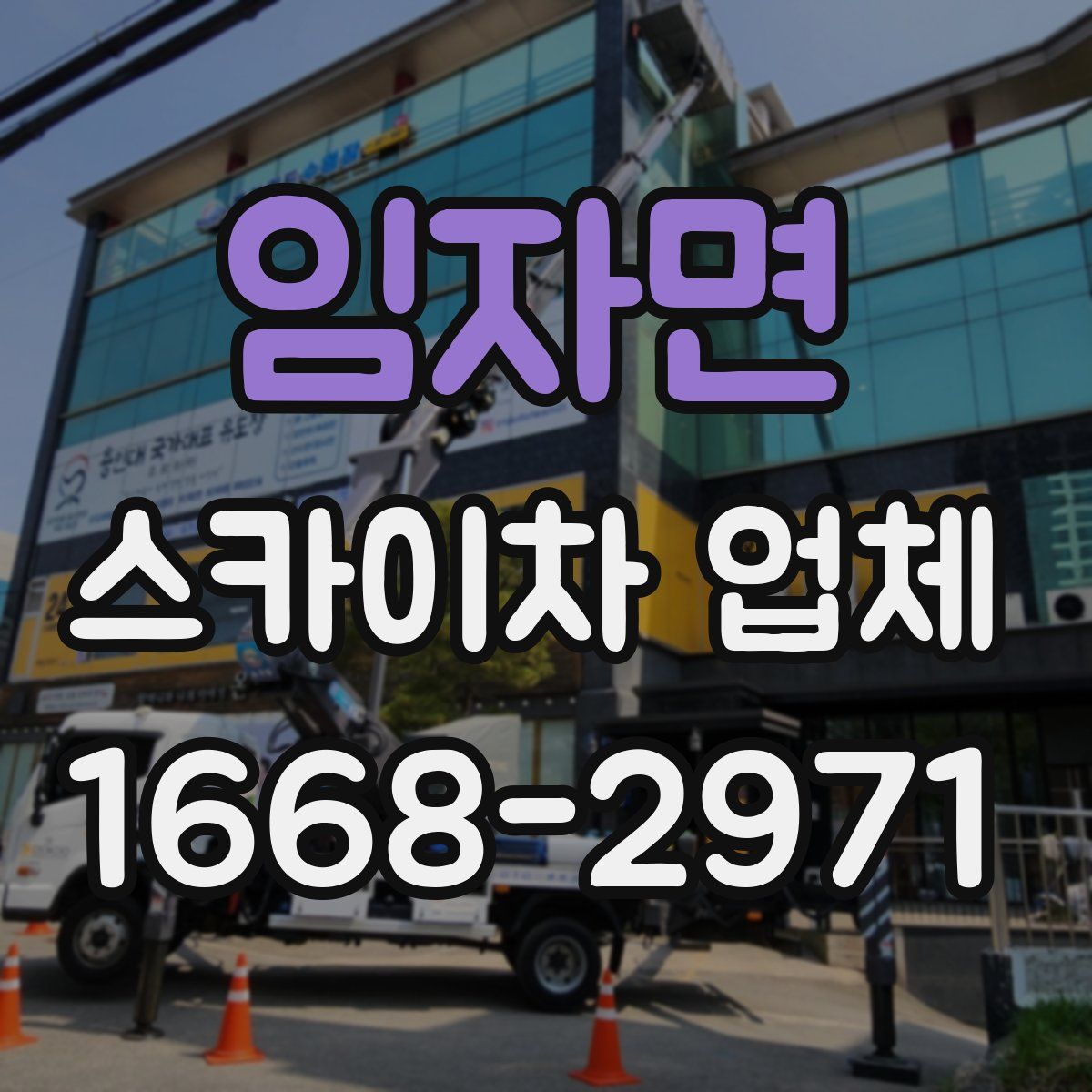 임자면 스카이차 업체