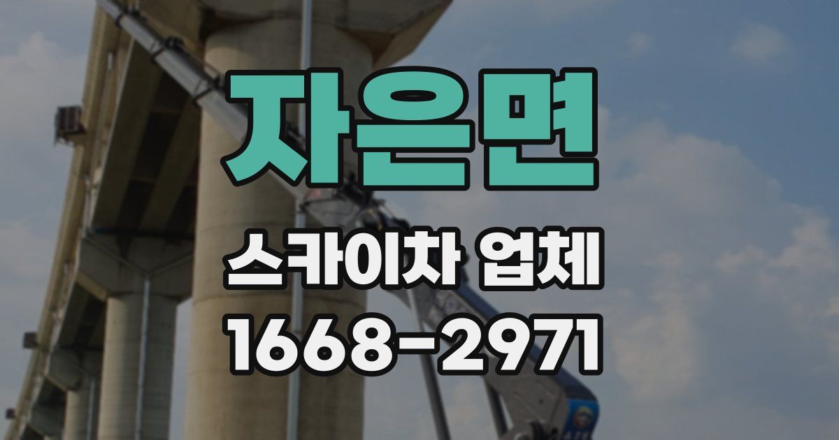 자은면 스카이차 업체