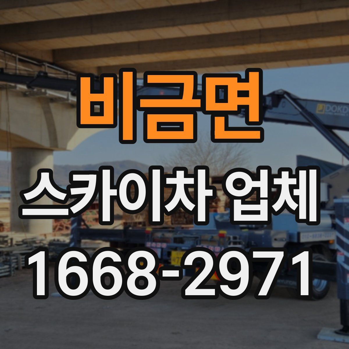 비금면 스카이차 업체