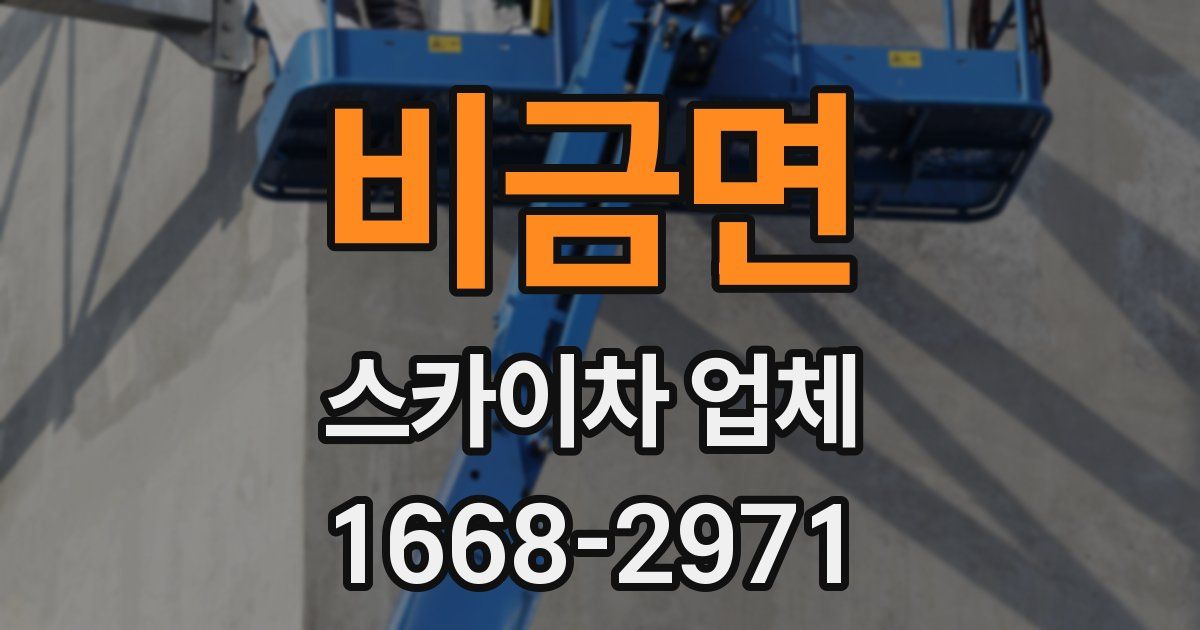 비금면 스카이차 업체