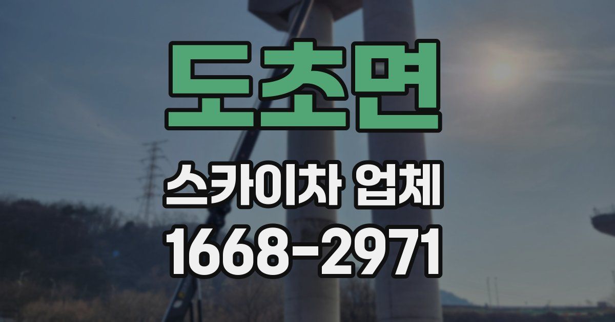 도초면 스카이차 업체