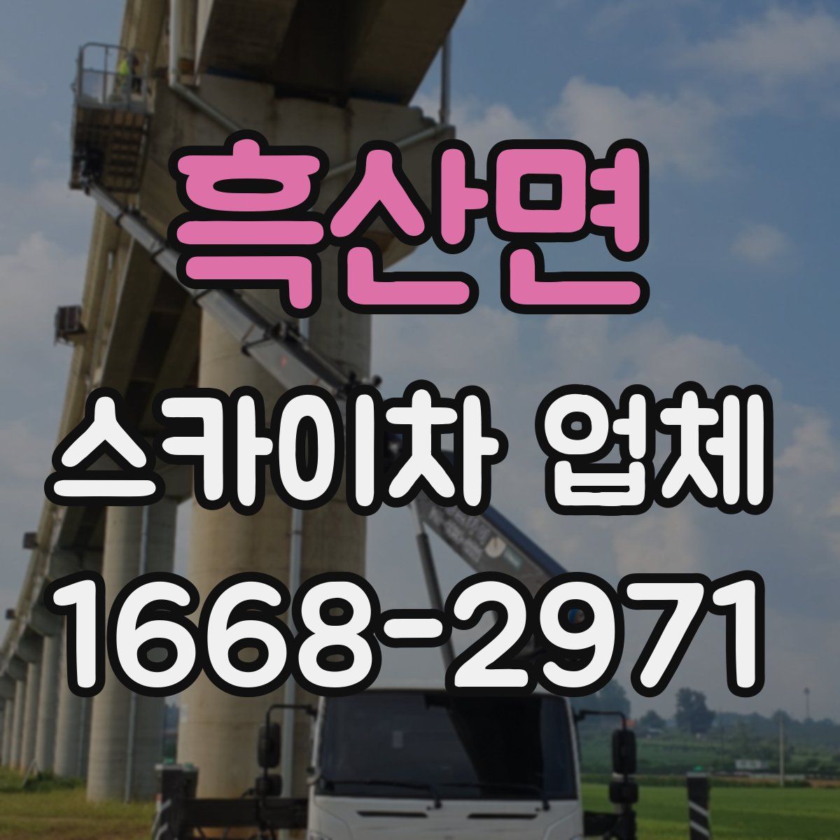 흑산면 스카이차 업체