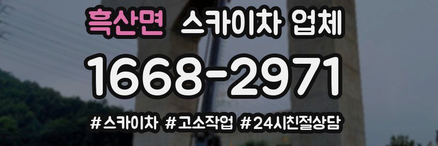 흑산면 스카이차 업체
