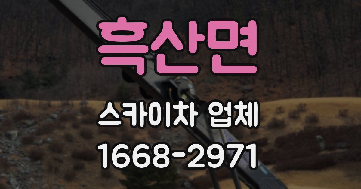 흑산면 스카이차 업체