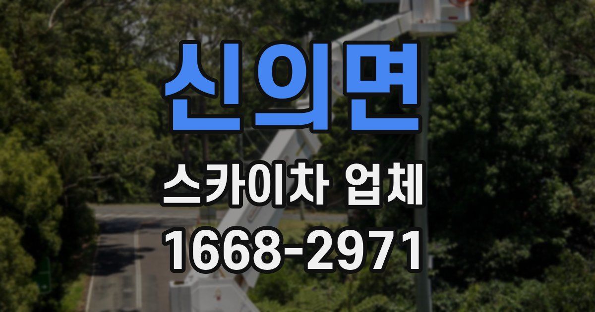신의면 스카이차 업체