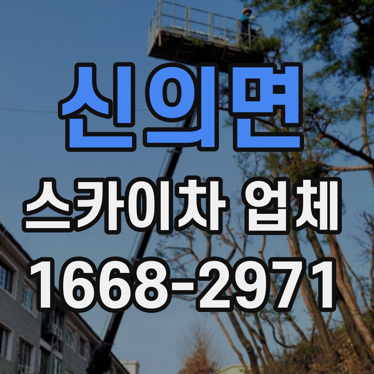 신의면 스카이차 업체