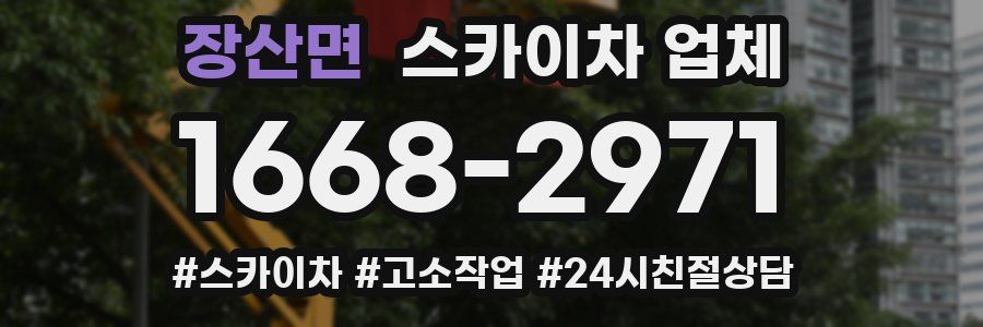 장산면 스카이차 업체