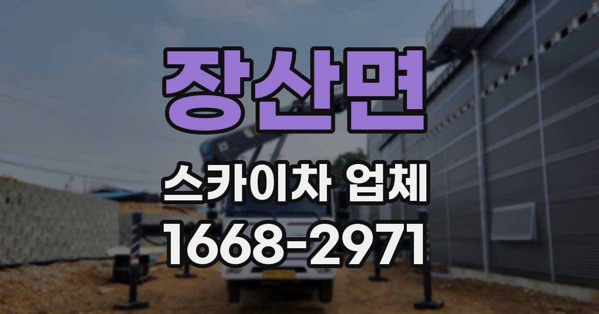 장산면 스카이차 업체