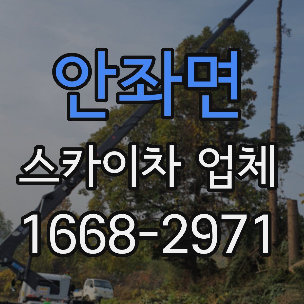 안좌면 스카이차 업체