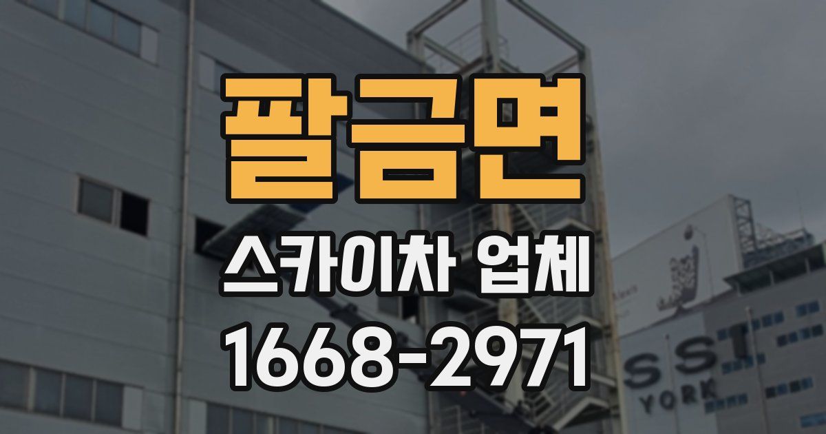 팔금면 스카이차 업체