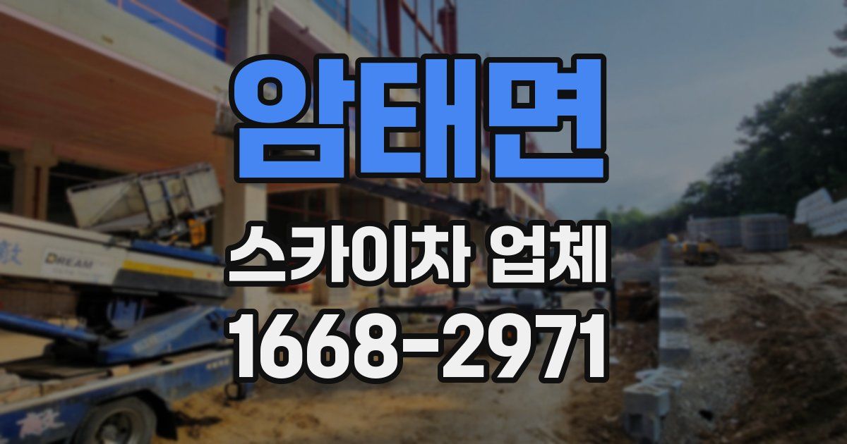 암태면 스카이차 업체