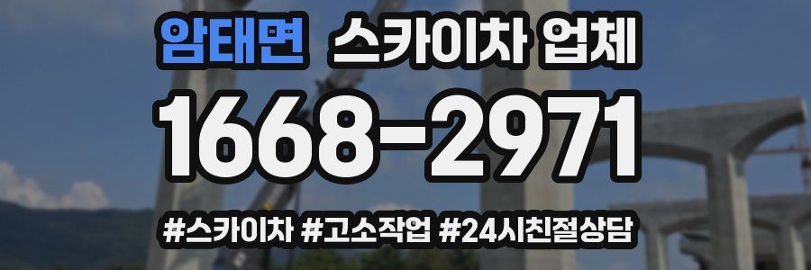 암태면 스카이차 업체