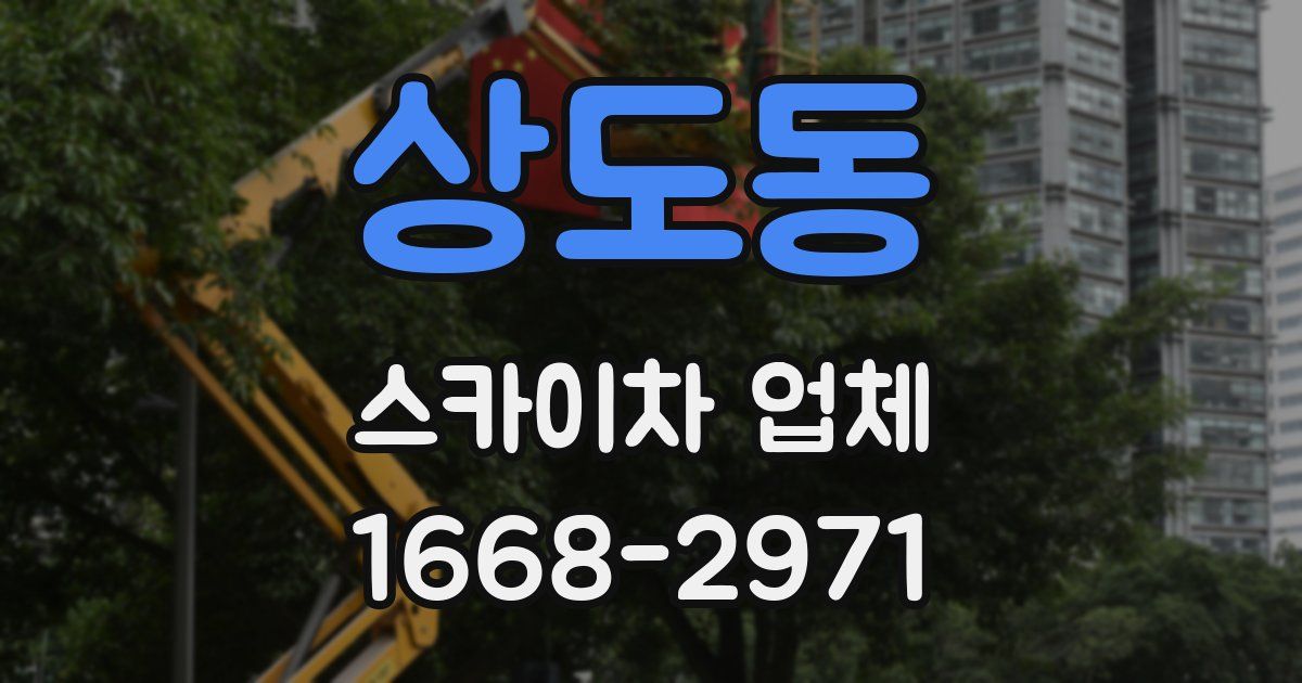 상도동 스카이차 업체
