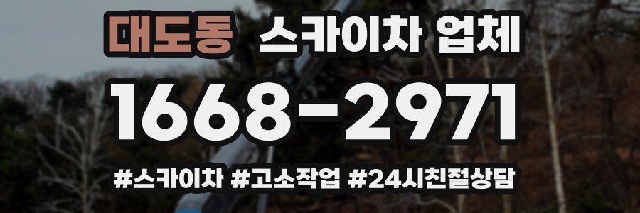 대도동 스카이차 업체