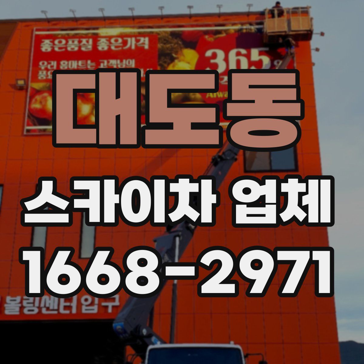 대도동 스카이차 업체