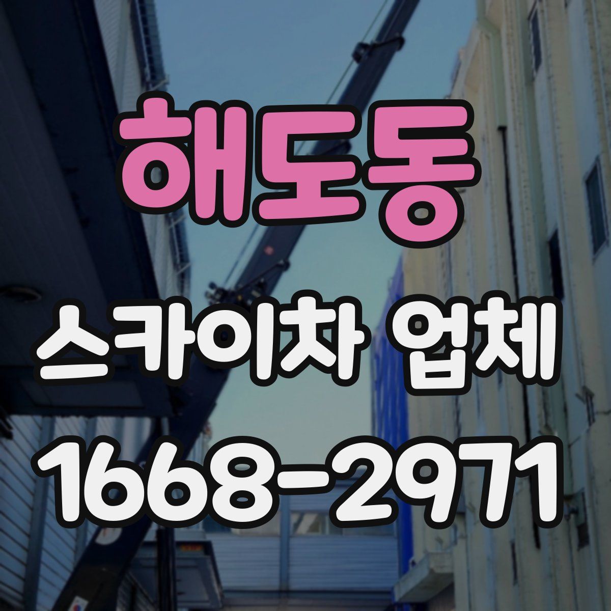 해도동 스카이차 업체