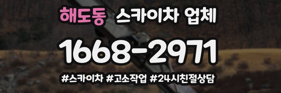 해도동 스카이차 업체