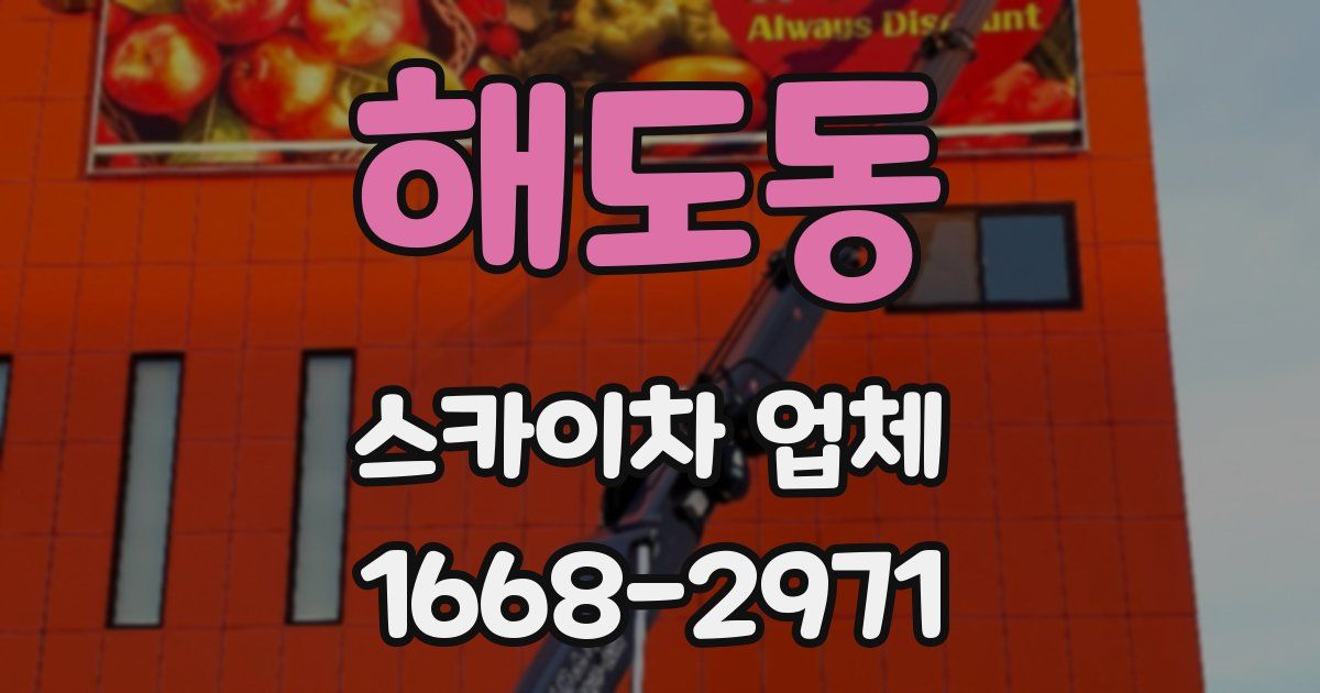 해도동 스카이차 업체
