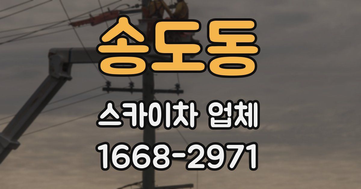 송도동 스카이차 업체
